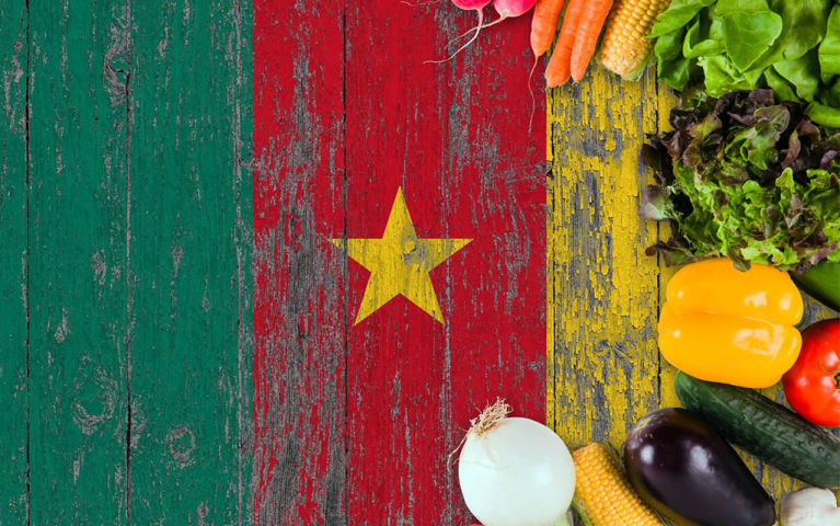 Festival culturel et gastronomique