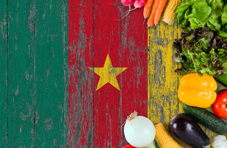 Festival culturel et gastronomique
